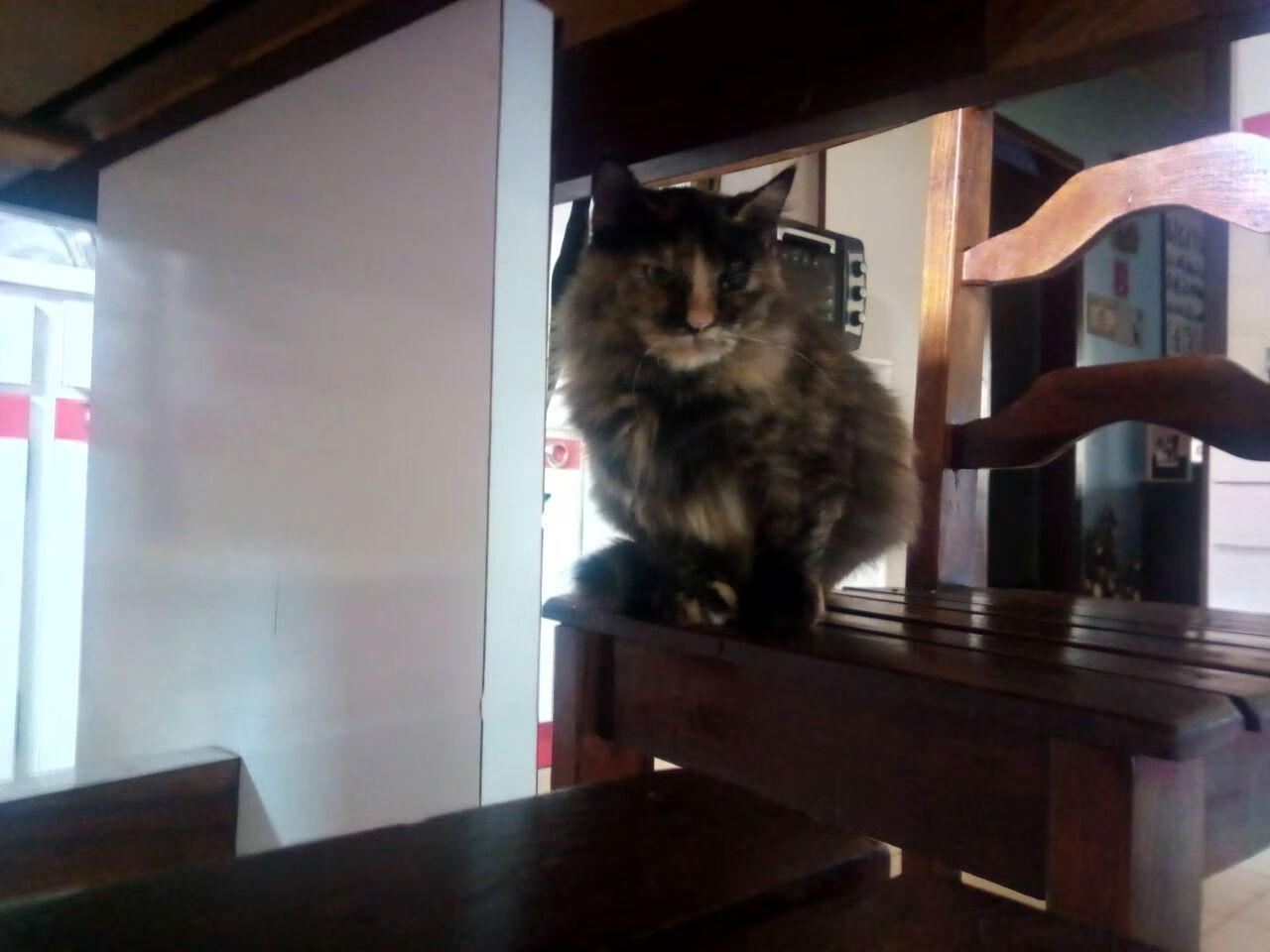 《最具人气战队战绩盘点：他们的荣耀时刻》，战队荣耀历程