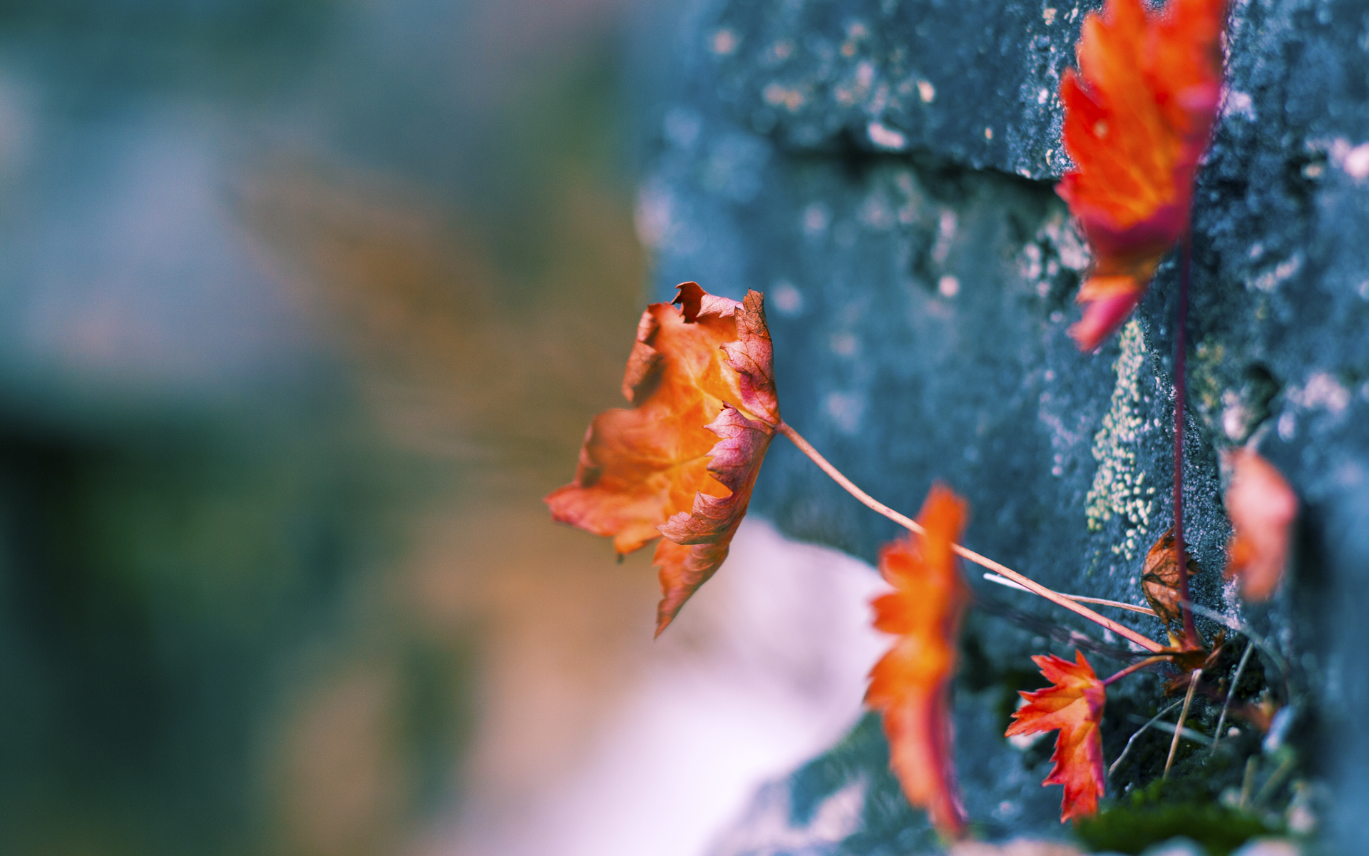 【运动员专访】丁俊晖：比赛中的压力如何化解？，丁俊晖的发力技巧