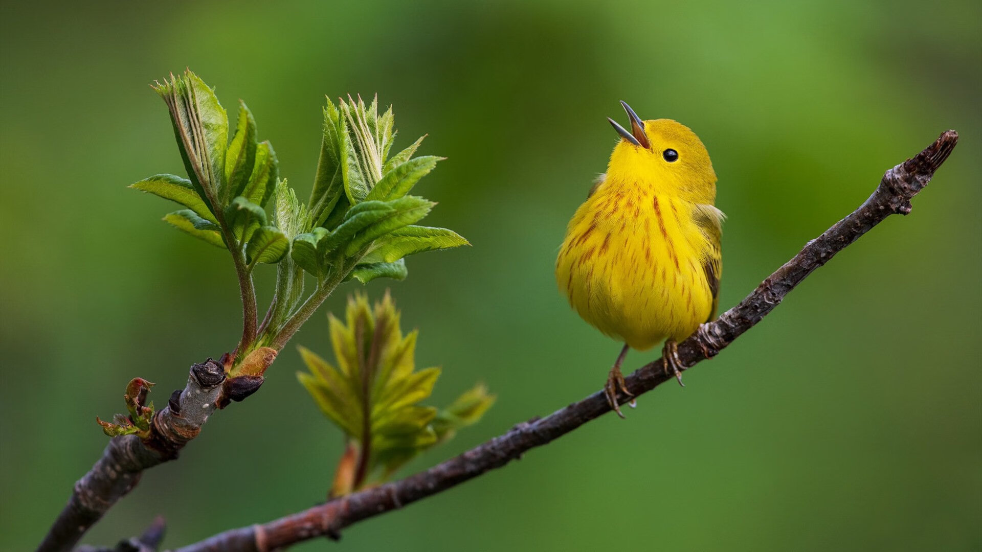 开云体育APP下载-《职业战队的后勤保障：从健康到心理的全方位支持》，职业战队工资多少钱