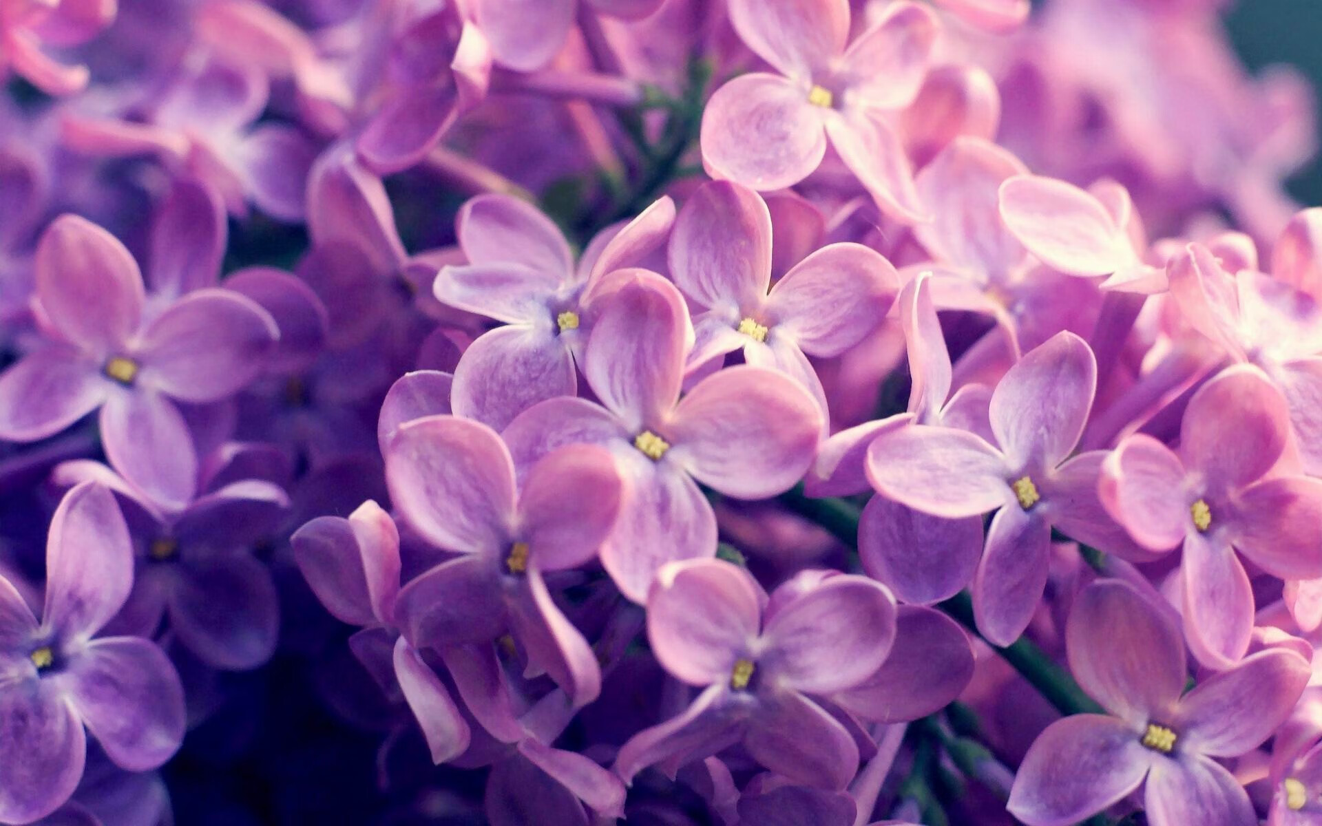 史上“炸裂”的扣篮大赛,谁才是真正的“飞人王”?,飞人扣篮视频